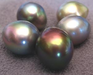 Cortez perler af top (gem) kvalitet